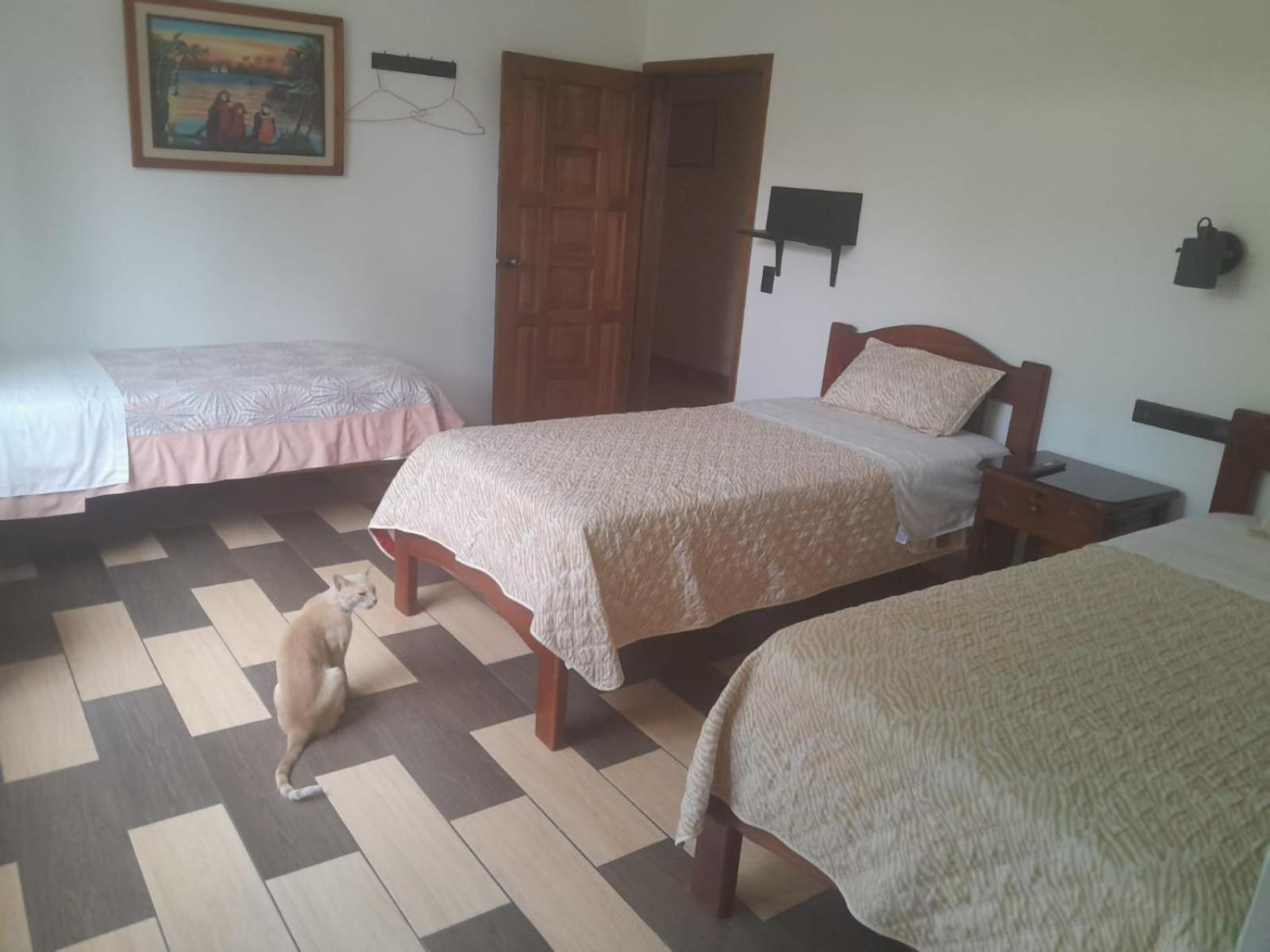 Hostal Limoncocha Tena Exteriér fotografie