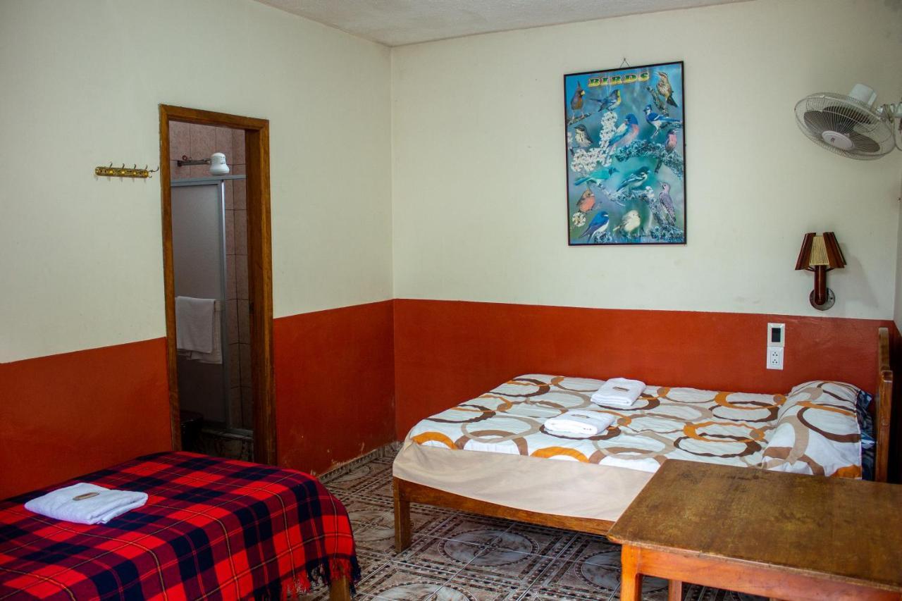 Hostal Limoncocha Tena Exteriér fotografie